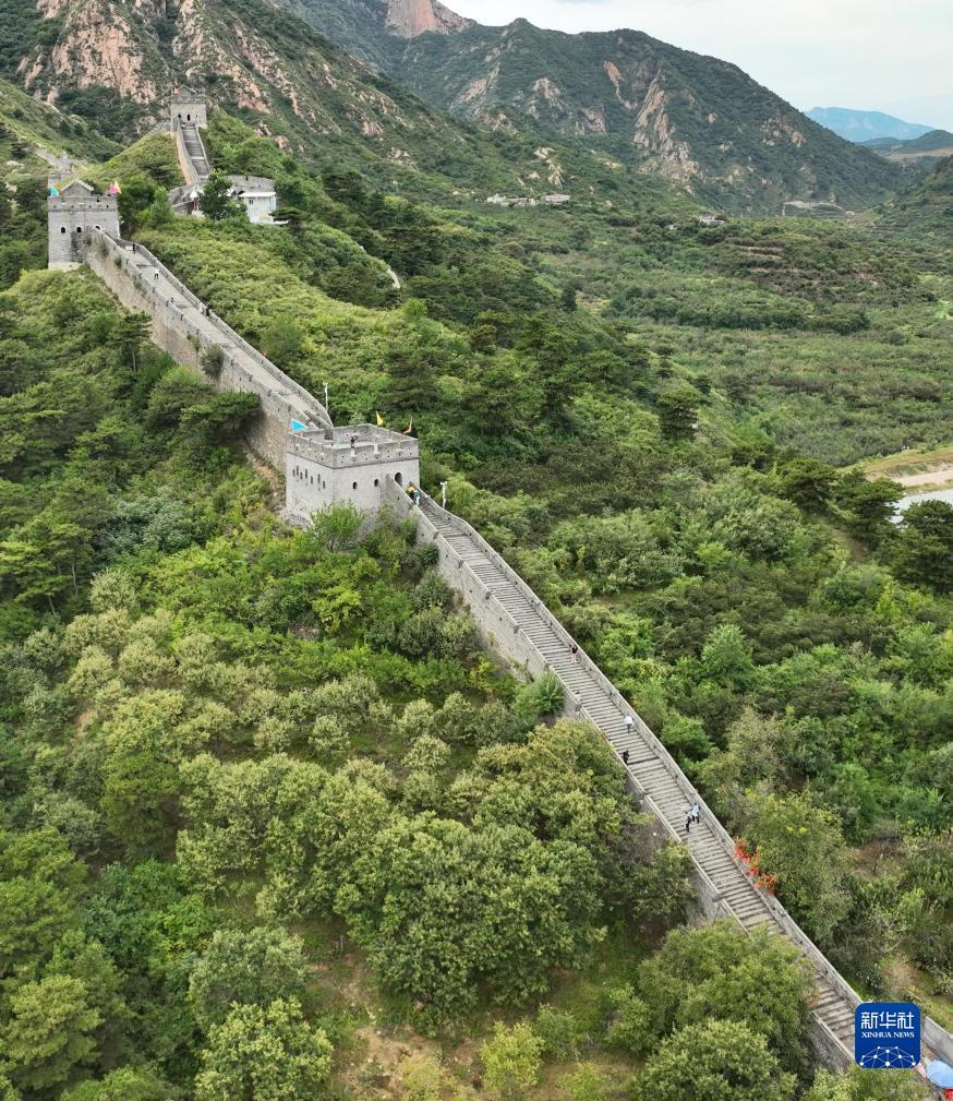 金陵唐人游